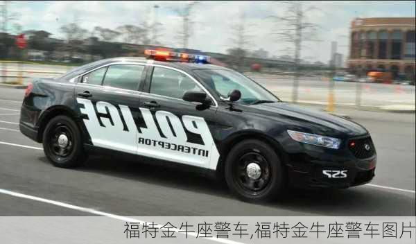 福特金牛座警车,福特金牛座警车图片