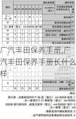 广汽丰田保养手册,广汽丰田保养手册长什么样