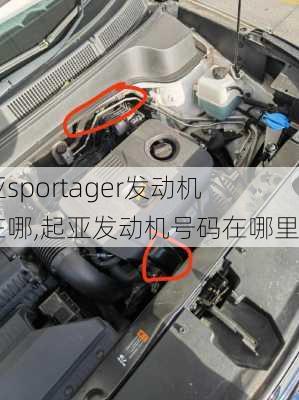 起亚sportager发动机号在哪,起亚发动机号码在哪里